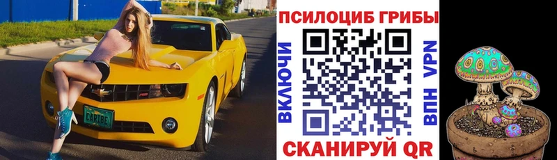 Галлюциногенные грибы ЛСД дарнет шоп Новосибирск